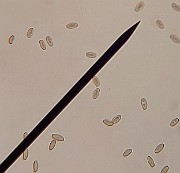 x20200722_052738