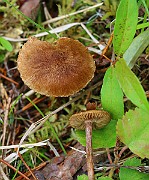 IMG_0079