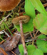 IMG_0080