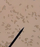x20200722_052627