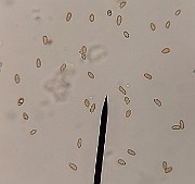 20200815_013342