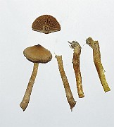 IMG_0093
