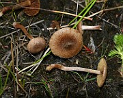 IMG_0395