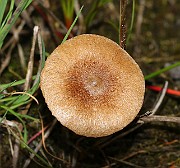 IMG_0399