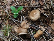 IMG_1561