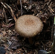 IMG_1566