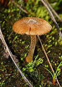 IMG_2096