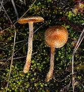 IMG_2101