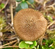 IMG_2777