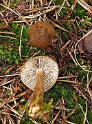 IMG_2781