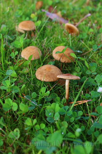 IMG_1369.JPG
