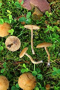 IMG_1366
