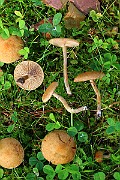 IMG_1367