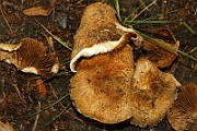 IMG_1773
