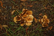 IMG_1776