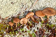 IMG_1420