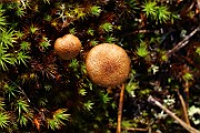 IMG_1426