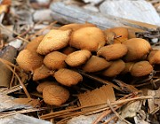 IMG_0311