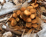 IMG_0314