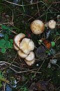 IMG_2014