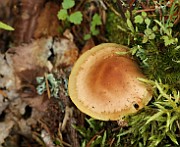 IMG_0189