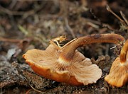 IMG_0195