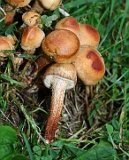IMG_0431
