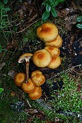 IMG_0872