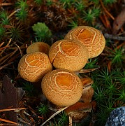 IMG_1092
