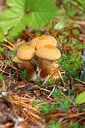 IMG_1094