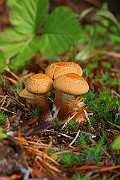 IMG_1095