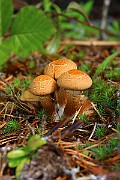 IMG_1096