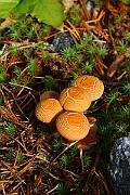 IMG_1099