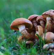 IMG_1714