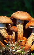 IMG_1725
