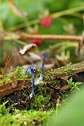 IMG_2240