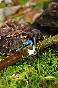 IMG_2242