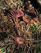 IMG_9902