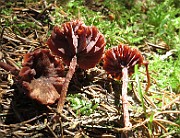 IMG_9907