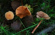 IMG_6158