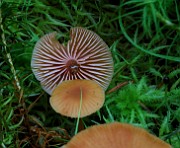 IMG_6159