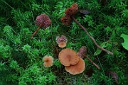 IMG_6162