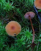 IMG_6163