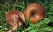 IMG_7774