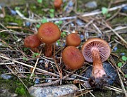 IMG_9488