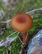 IMG_9489