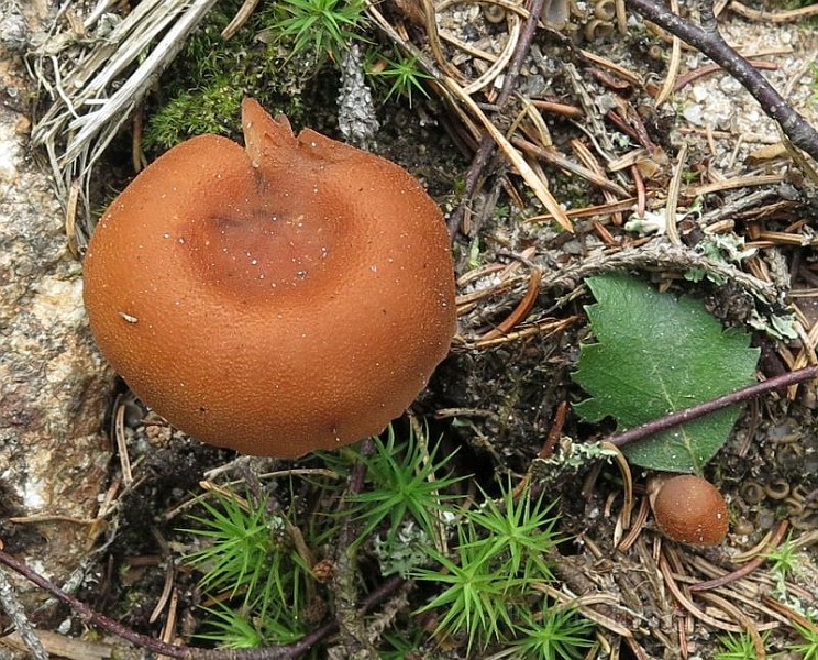 IMG_1139.JPG -                                