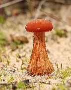IMG_0637