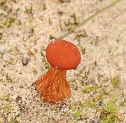 IMG_0638