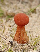 IMG_0640